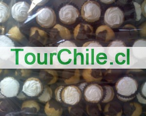 guillermo rubio Anuncios gratis en Santiago |  banqueteria y bocaditos para su bautizo o matrimonio, todo para su evento a domicilio
