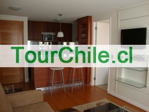 MG Anuncios gratis en Providencia |  Departamentos Amoblados Providencia Oferta Lanzamiento, Arriendo días/semanas/meses
