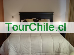 Paulina Anuncios gratis en Santiago |  Departamento amoblado centro de Santiago a una cuadra del Metro Sta. Ana, Totalmente equipado