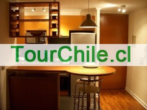 Ana Maria Anuncios gratis en Providencia |  Departamento Amoblado Providencia, Dias, Semanas y Meses, Ubicado en Calle suecia con 11 de septiembre