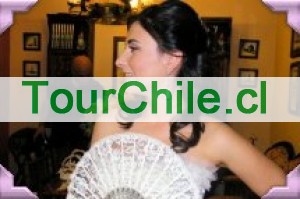 JESSENIA FERRER Anuncios gratis en Providencia |  MAQUILLAJE PARA NOVIAS , PEINADO PARA NOVIAS A DOMICILIO