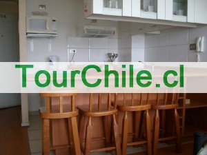 Patricio Anuncios gratis en Santiago |  Arriendo Depto amoblado por Día., Céntrico e impecable Depto Amoblado enSantiago.