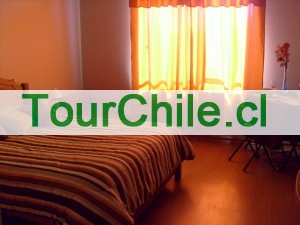  Anuncios gratis en Santiago |  Departamento amoblado se arrienda por días, semanas, Sector Bellas Artes