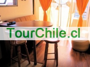 Patricia Prado Anuncios gratis en Santiago |  arriendo departamento amoblado por dias , minimo 3 dias
