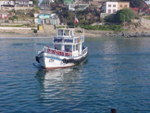  Turismo en Chile en Valparaíso |  Nautical Tour S.A. Paseos en lancha bahía de Quintero Horcón, Paseos en lancha en la 5 región tour marítimo en Quintero