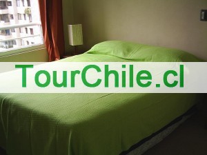  Anuncios gratis en Santiago |  Departamentos amoblados Santiago Centro , Arriendo 2 ambientes( Días, seman, VER FOTOS EN PÁGINA WEB.   Metro universidad catolica ( EDIFICIO NUEVO).