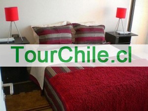 Anuncios gratis en Santiago |  DEPARTAMENTO AMOBLADO MANUEL MONTT, PROVIDENCIA, A PASOS DEL METRO MANUEL MONTTE