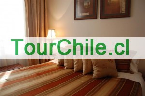  Anuncios gratis en Santiago |  FINOS DEPARTAMENTOS AMOBLADOS SANTIAGO CENTRO, A PASOS DEL METRO BELLAS ARTES, UNO Y DOS DORMITORIOS