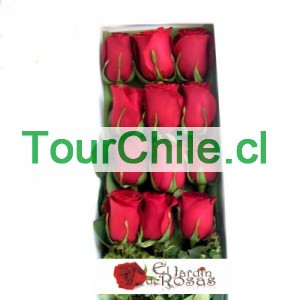 eljardinderosas Anuncios gratis en Santiago |  FLORES A DOMICILIO DESPACHAMOS GRATIS , FINAS  CAJAS 12 ROSAS ECUATOIRIANAS $15.900