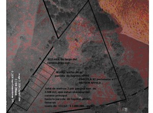 haydon affeld Turismo en Chile en Lautaro |  VENDO PARCELAS DE AGRADO, a 8 kil&oacute;metros de Lautaro .