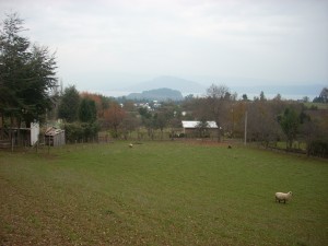 Daniel Turismo en Chile en Lican-Ray |  2 Sitios Lican Ray, 1.030 m� c/u