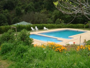 soluciones vacacionales Turismo en Chile en Olmu&eacute; |  CABAÑA OLMUE SUPER OFERTA CABAÑA REBAJADA , REBAJADA SOLO ESTA SEMANA 