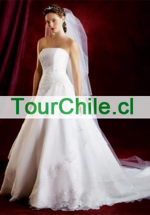  Anuncios gratis en Quilicura |  PEINADOS DE NOVIAS MAQUILLAJE PROFESIONALES A DOMICILIO, PEINADOS DE NOVIA MATRIMONIOS WWW ESTETICAMOVIL COM CONSERVA TU RAMO