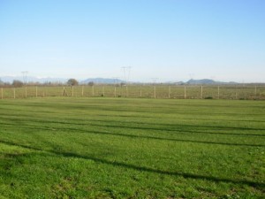 Vanessa Vidal Turismo en Chile en Talca |  Arriendo Campo en San clemente 130 h&aacute;s, Apto para todo cultivo