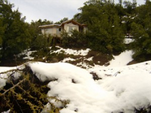 PABLO Turismo en Chile en San Alfonso |  CAJON DEL MAIPO ARRIENDO, DIAS, FINES DE SEMANA, EXCLUSIVA CABA&Ntilde;A EN LA MONTA&Ntilde;A