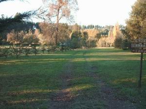  Turismo en Chile en Cunco |  Complejo tur&iacute;stico recreacional, Terra Nostra, Cercano a un r&iacute;o y a un lago para disfrutar de la pesca y el paisaje
