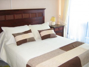 Alejandra Santa Maria Turismo en Chile en Iquique |  Iquique Chile departamentos amoblados en playa cavancha - departamentos, Iquique departamentos amoblados en playa cavancha