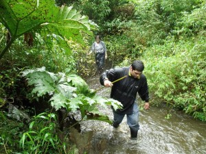 ALVARO REINAO Turismo en Chile en Llanquihue |  TURISMO AVENTURA, LO QUE UD. ESTA BUSCANDO