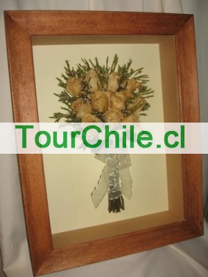  Anuncios gratis en Huechuraba |  ::ENMARCA TU RAMO DE NOVIA QUEDAN CONSERVADOS PARA TODA LA VIDA, ramos eternos ramoseternos tu ramo novia prensado