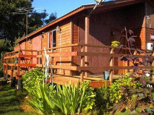 Mario Turismo en Chile en Dichato |  ARRIENDO CABA&Ntilde;A FAMILIAR EN DICHATO, ARRIENDO CABA&Ntilde;A DICHATO