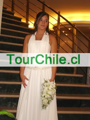  Anuncios gratis en Huechuraba |  PEINADOS DE NOVIAS MAQUILLAJE PROFESIONALES A DOMICILIO, NOVIAS MAQUILLAJE Y PEINADO A DOMICILIO 2010 2011 RESERVA YA