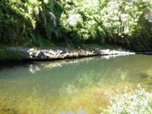 Camping el cocodrilo Turismo en Chile en Yungay |  Camping caba&ntilde;as, Rio naturaleza