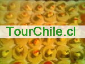 maria Anuncios gratis en Santiago |  canape empanaditas pastelitos mini pizzas todo para su fiesta  56956444689, brochetas pastelitos mini pizzas todo para su fiesta calidad variedad