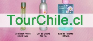 perfumeriayves Anuncios gratis en Ovalle |  $3500.- Kit 100 % gana doble Perfumeria YVes incorporate vende calidad vari, compra vende gana el doble dia de la madre y todo el año lanzamientos