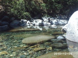 carmen Gloria Prieto Turismo en Chile en San Fabi&aacute;n de Alico |  San Fabian de Alico te invita al tour por la Ruta de Miel y la Madera, Ruta de La Miel y La Madera