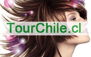 manuel Anuncios gratis en Santiago |  ESTILISTAS A DOMICILIO, servicio integral todas las comunas de santiago