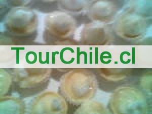 maria Anuncios gratis en Santiago |  canape empanaditas todo para su fiesta calidad 56956444689, brochetas mini pizzas todo evento garzones variedad