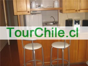 lydservice Anuncios gratis en Santiago |  ARRIENDO DEPARTAMENTOS AMOBLADOS DIAS SEMANA EN SANTIAGO DE CHILE, DEPARTAMENTOS AMOBLADOS POR DIA 1 Y 2 DORMITORIOS EN SANTIAGO CHILE