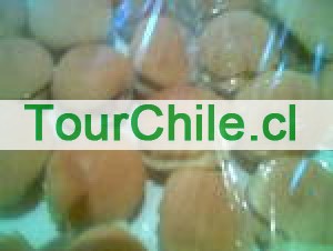 maria Anuncios gratis en Santiago |  canape empanaditas mini pizzas todo para su fiesta 56956444689, mini pizzas pizzetas servicio de banqueteria garzones todo evento