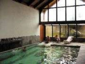  Turismo en Chile en Puc&oacute;n |  Hotel & Spa Araucarias   , Habitaciones singles, dobles, triples y cu&aacute;druples 