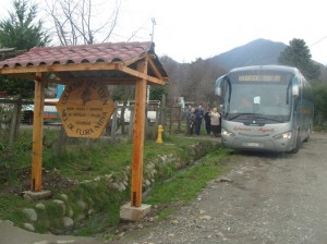 Luz Figueroa Mar&iacute;n Turismo en Chile en San Fabi&aacute;n de Alico |  Apiturismo Colmenar El Ed&eacute;n, San Fabi&aacute;n de Alico, Productos naturales de la colmena