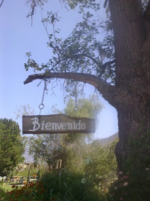 Sergio Olivares G. Turismo en Chile en Putaendo |  JARDINES DEL VALLE, PASION POR LA NATURALEZA