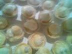 maria Turismo en Chile en Santiago |  canape empanaditas pastelitos domicilio brochetas 086612223, tapaditos mini pizzas alitas de pollo todo p&agrave;ra su fiesta calidad variedad