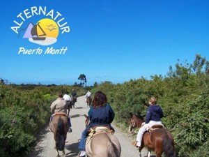 Alternatur Turismo en Chile en Lo Barnechea |  TURISMO AVENTURA EN LA REGI&Oacute;N DE LOS LAGOS, http://www.turpuertomontt.com