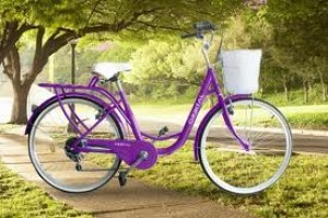 Luis Tobar Turismo en Chile en Santiago |  Arriendo de Bicicletas en Santiago , CICLOTUR