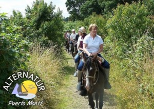 Alternatur Turismo en Chile en Santiago |  Tours & Excursiones en Puerto Montt, http://www.turpuertomontt.com