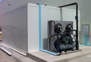H & SERVICIOS Turismo en Chile en San Antonio |  REFRIGERACION, H & SERVICIOS